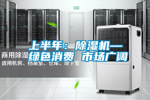 上半年:除濕機—綠色消費 市場廣闊