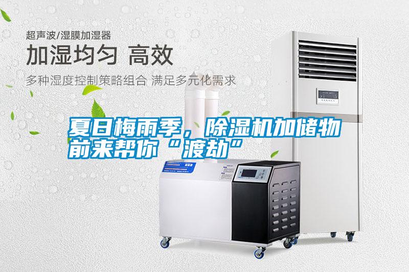 夏日梅雨季，除濕機加儲物前來幫你“渡劫”