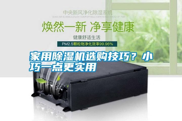 家用除濕機(jī)選購(gòu)技巧？小巧一點(diǎn)更實(shí)用