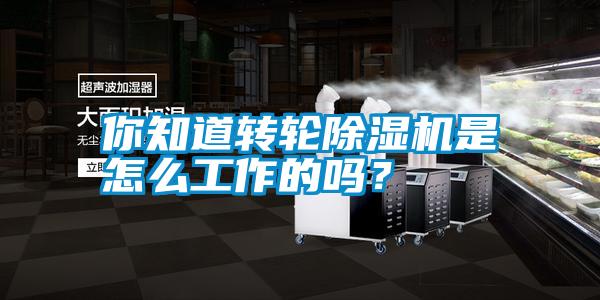 你知道轉輪除濕機是怎么工作的嗎?