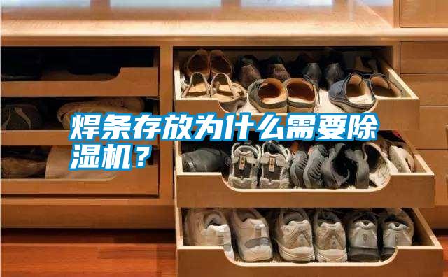 焊條存放為什么需要除濕機(jī)？