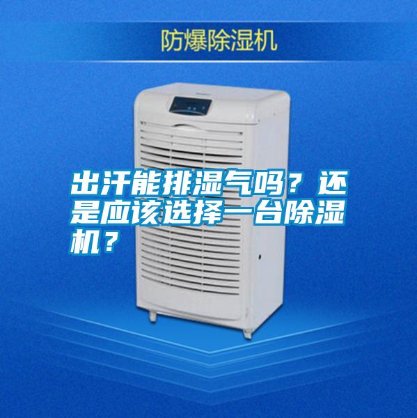 出汗能排濕氣嗎？還是應該選擇一臺除濕機？