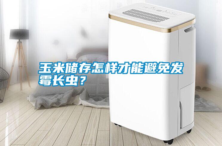 玉米儲存怎樣才能避免發霉長蟲?