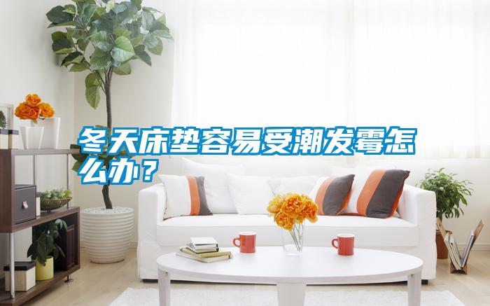 冬天床墊容易受潮發霉怎么辦?