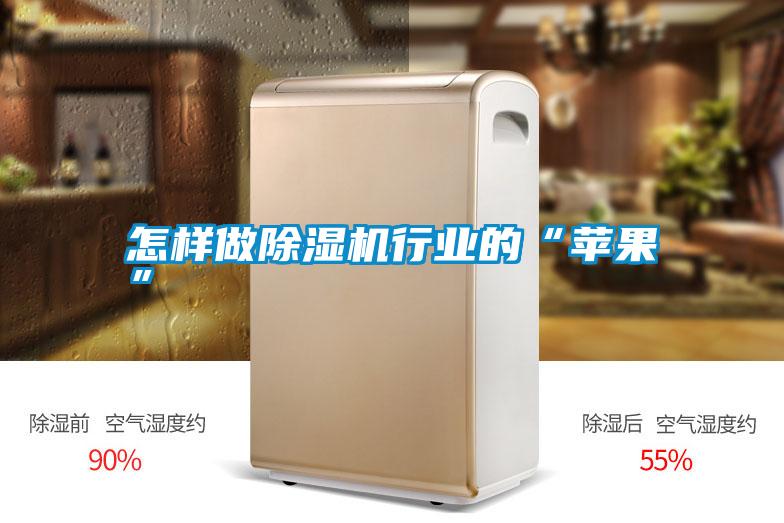 怎樣做除濕機行業的“蘋果”
