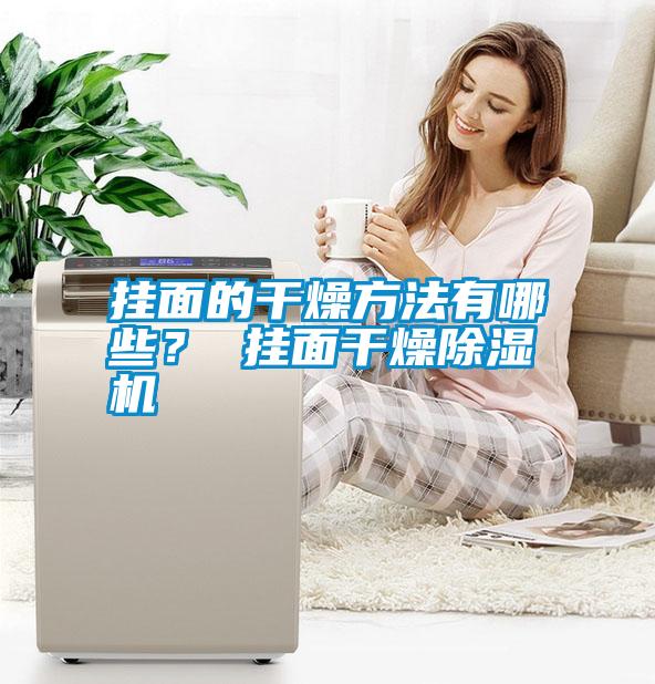 掛面的干燥方法有哪些？ 掛面干燥除濕機