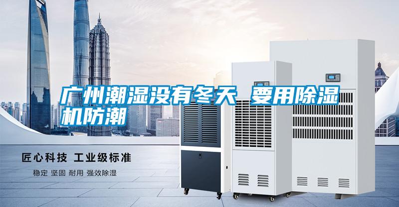 廣州潮濕沒有冬天 要用除濕機(jī)防潮