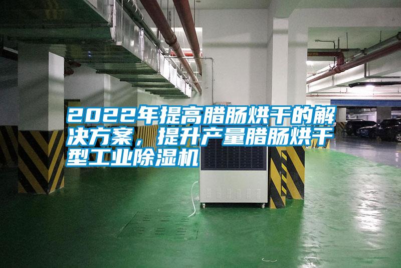 2022年提高臘腸烘干的解決方案，提升產(chǎn)量臘腸烘干型工業(yè)除濕機