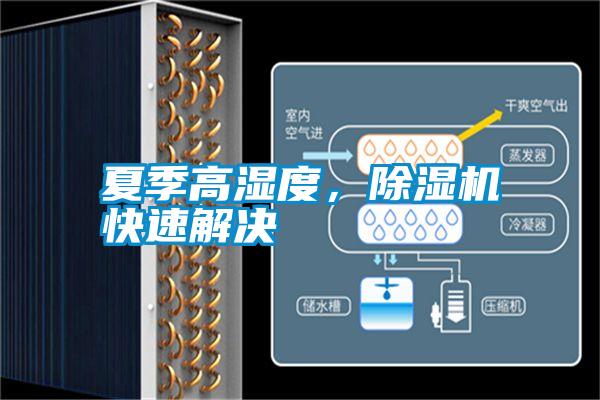 夏季高濕度,除濕機快速解決