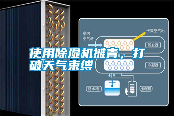 使用除濕機攤青，打破天氣束縛