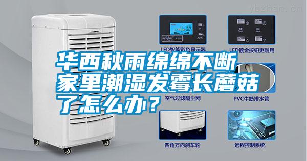 華西秋雨綿綿不斷 家里潮濕發霉長蘑菇了怎么辦？