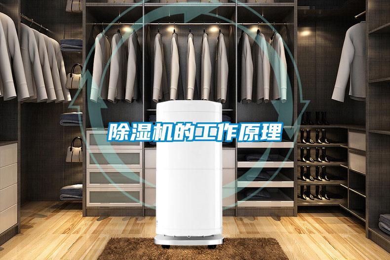 除濕機的工作原理