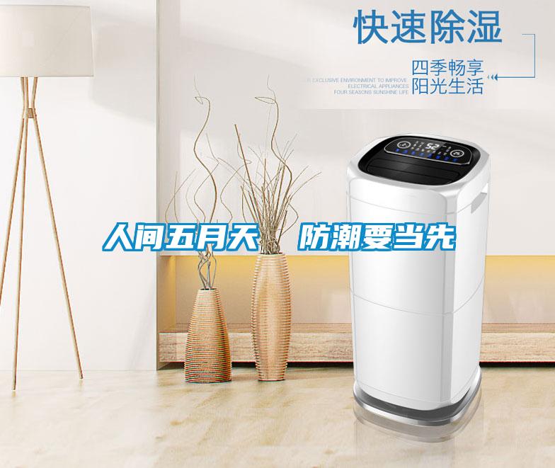 人間五月天 防潮要當先