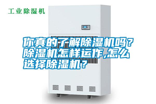 你真的了解除濕機嗎?除濕機怎樣運作,怎么選擇除濕機?