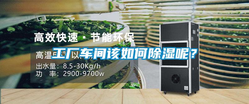 工廠車間該如何除濕呢?