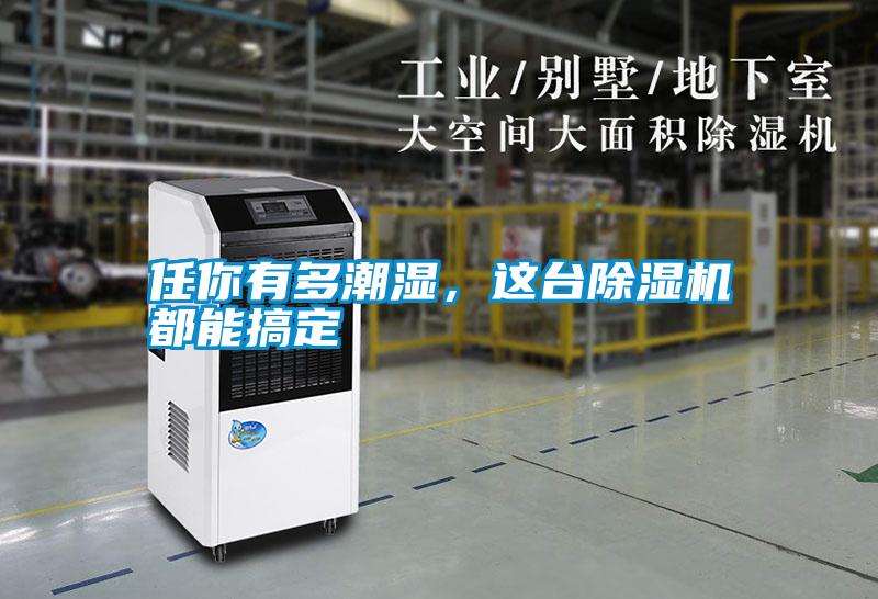 任你有多潮濕,這臺除濕機都能搞定