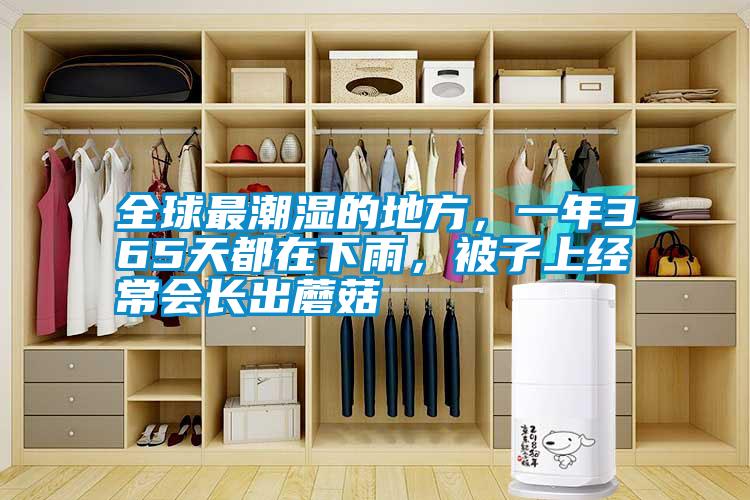全球最潮濕的地方，一年365天都在下雨，被子上經常會長出蘑菇