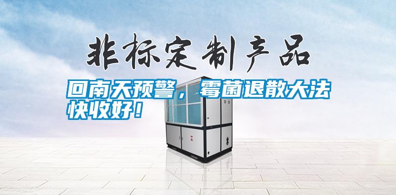 回南天預(yù)警,霉菌退散大法快收好!