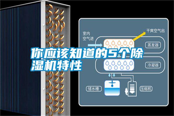 你應該知道的5個除濕機特性