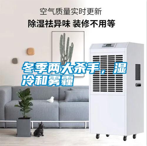 冬季兩大殺手,濕冷和霧霾