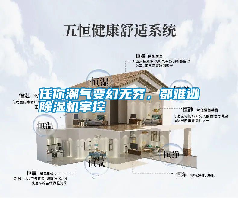 任你潮氣變幻無窮,都難逃除濕機掌控