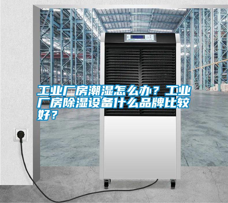 工業廠房潮濕怎么辦?工業廠房除濕設備什么品牌比較好?