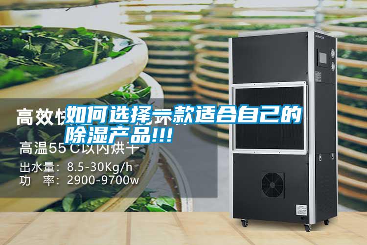如何選擇一款適合自己的除濕產品!!!