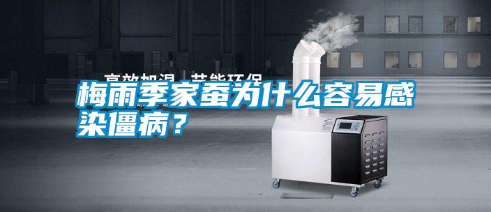 梅雨季家蠶為什么容易感染僵?。?/></p>
                              <p style=