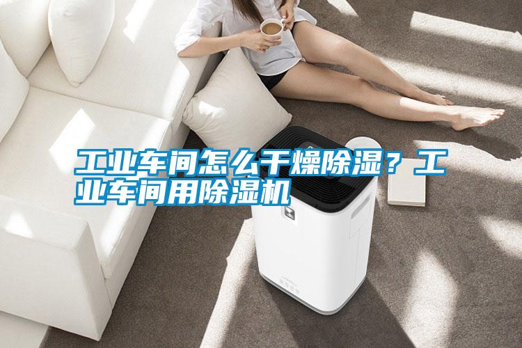 工業(yè)車間怎么干燥除濕?工業(yè)車間用除濕機(jī)