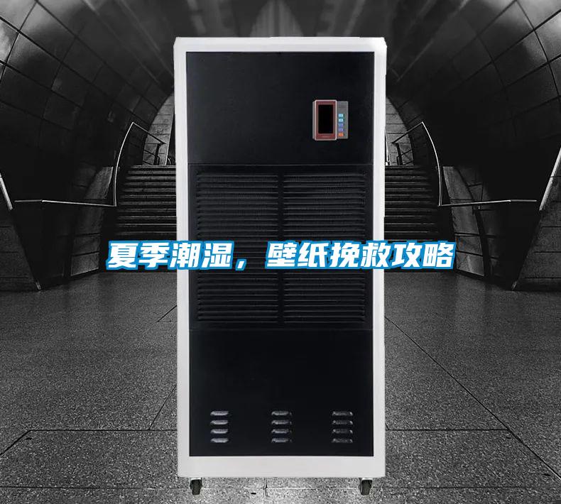 夏季潮濕,壁紙挽救攻略