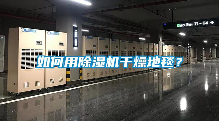 如何用除濕機干燥地毯？