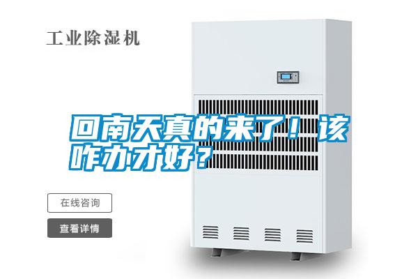 回南天真的來了!該咋辦才好?