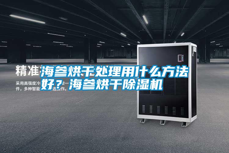 海參烘干處理用什么方法好？海參烘干除濕機