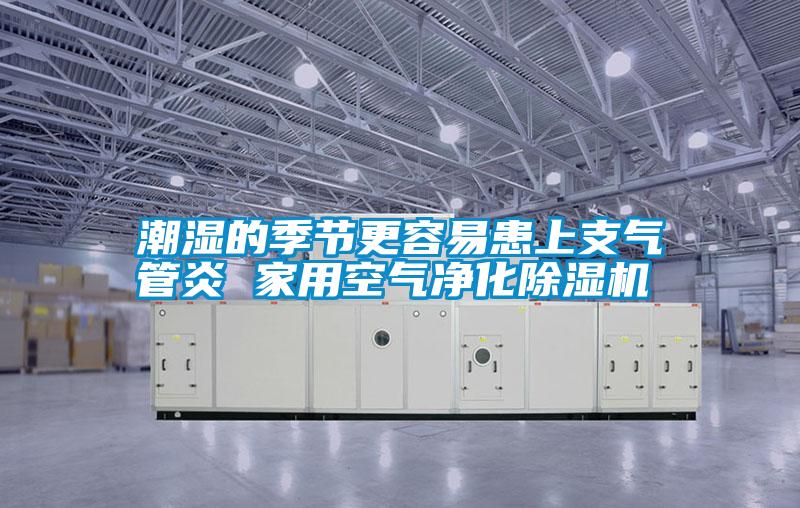 潮濕的季節更容易患上支氣管炎 家用空氣凈化除濕機