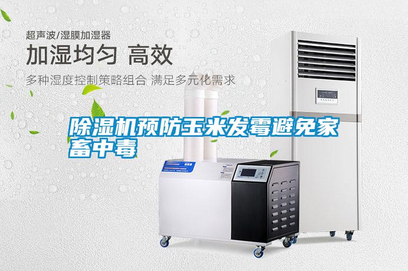 除濕機(jī)預(yù)防玉米發(fā)霉避免家畜中毒