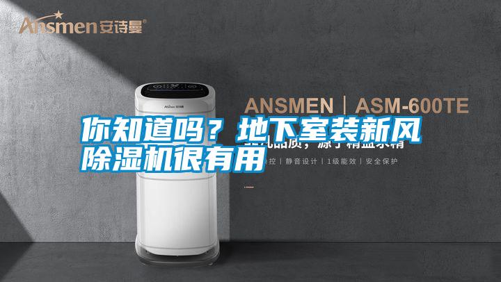 你知道嗎?地下室裝新風除濕機很有用