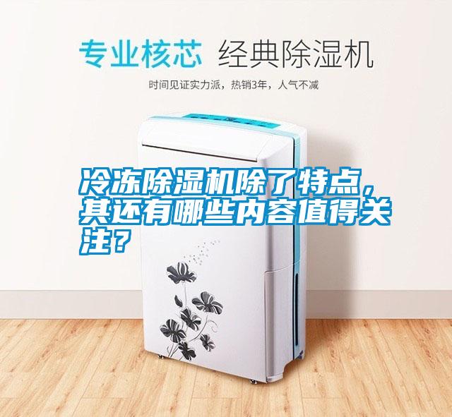 冷凍除濕機除了特點，其還有哪些內容值得關注？