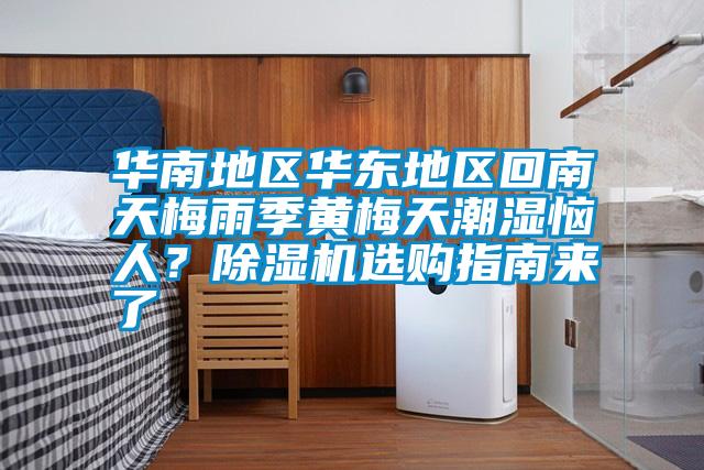 華南地區華東地區回南天梅雨季黃梅天潮濕惱人?除濕機選購指南來了
