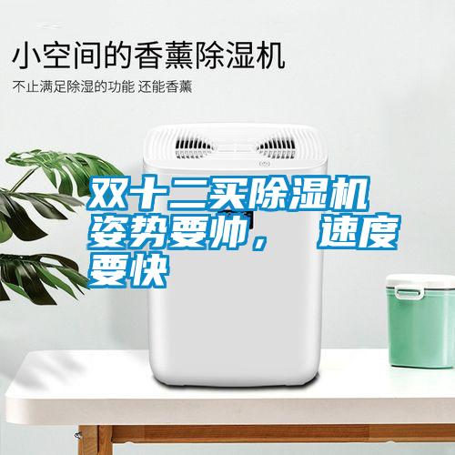 雙十二買除濕機姿勢要帥, 速度要快