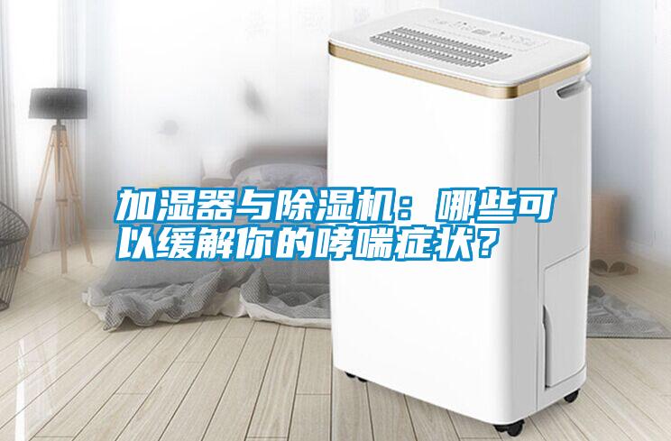 加濕器與除濕機:哪些可以緩解你的哮喘癥狀?