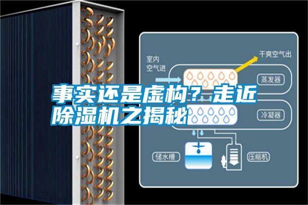 事實還是虛構?走近除濕機之揭秘