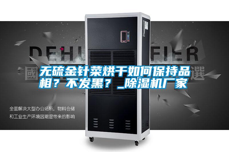 無(wú)硫金針菜烘干如何保持品相？不發(fā)黑？_除濕機(jī)廠家