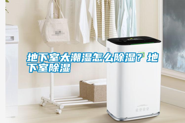 地下室太潮濕怎么除濕？地下室除濕