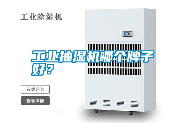 工業(yè)抽濕機(jī)哪個牌子好?
