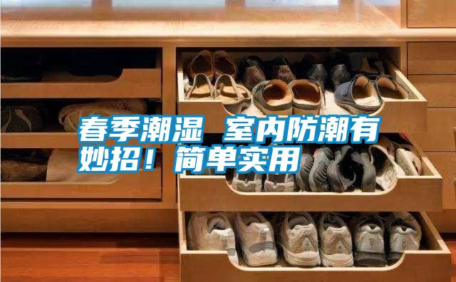 春季潮濕 室內(nèi)防潮有妙招！簡單實(shí)用