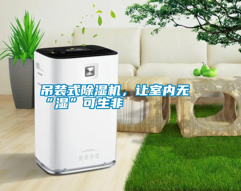 吊裝式除濕機，讓室內無“濕”可生非