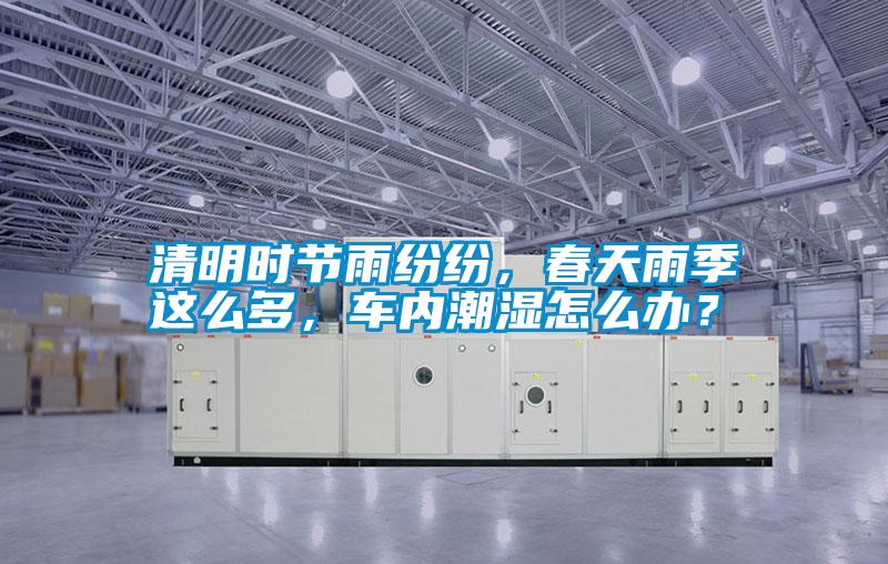 清明時節雨紛紛,春天雨季這么多,車內潮濕怎么辦?