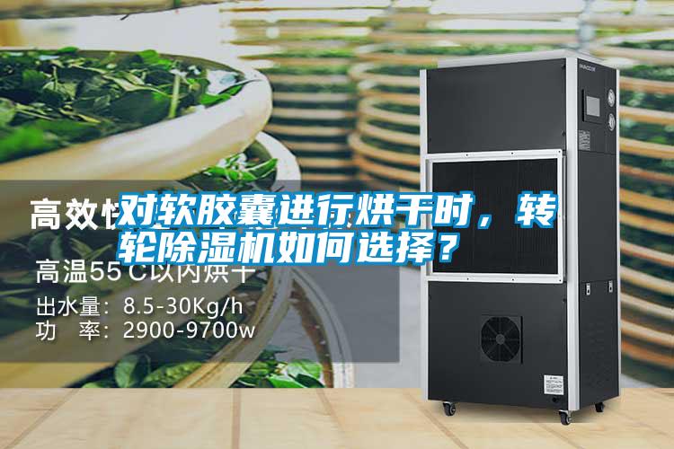 對軟膠囊進行烘干時，轉輪除濕機如何選擇？