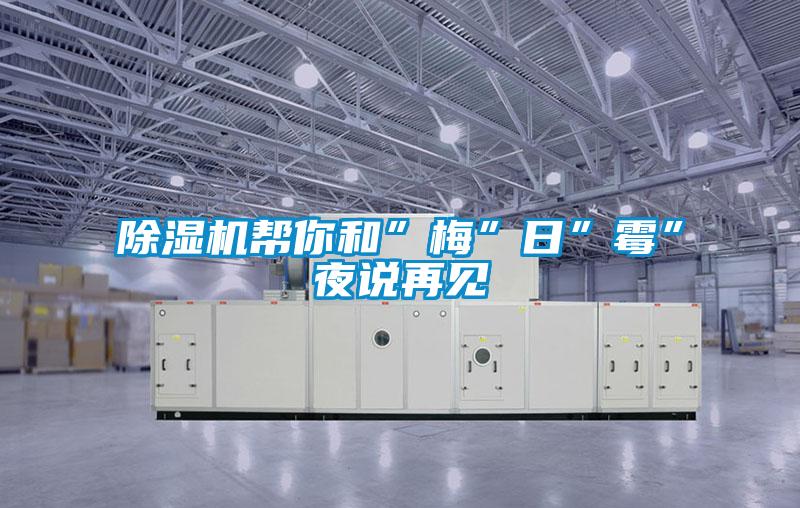 除濕機(jī)幫你和”梅”日”霉”夜說(shuō)再見(jiàn)