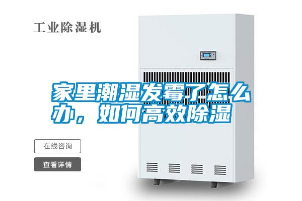 家里潮濕發(fā)霉了怎么辦,如何高效除濕
